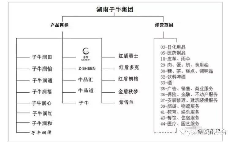 湖南子牛集團更名子康生活，沉寂兩年后攜新定位“重出江湖”